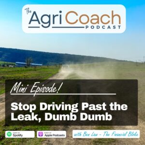 MINI: Stop Driving Past the Leak, Dumb Dumb